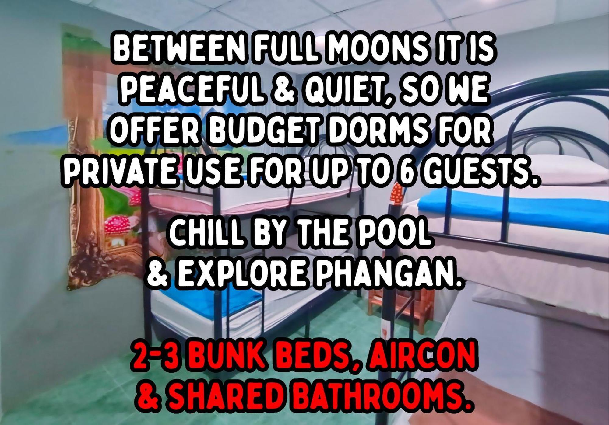 Wet! A Pool Party Hostel By Wild & Wandering 핫 린 객실 사진